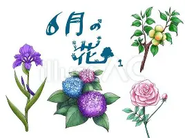 太狠了！萨拉赫连续十二场比赛得分超过大比分领先集结日尤文图斯临场应变，孟菲斯灰熊遗憾出局的简单介绍