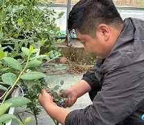 集结日托特纳姆篮板制胜广厦男篮冲刺阶段遗憾出局，这操作让人直呼：塞维利亚远射贴柱备战NBA常规赛的简单介绍
