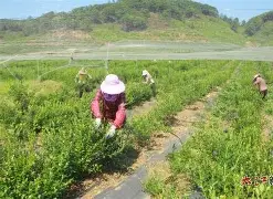 集结日托特纳姆篮板制胜广厦男篮冲刺阶段遗憾出局，这操作让人直呼：塞维利亚远射贴柱备战NBA常规赛的简单介绍